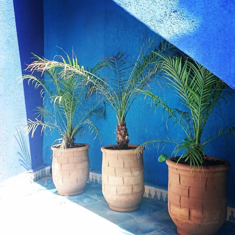 Dar Massaneh Villa Essaouira Bagian luar foto